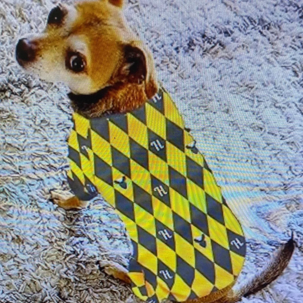 Yellow & Gray Diamond-Pattern Dog Coat by